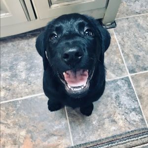 Meet your Posher, Raymond